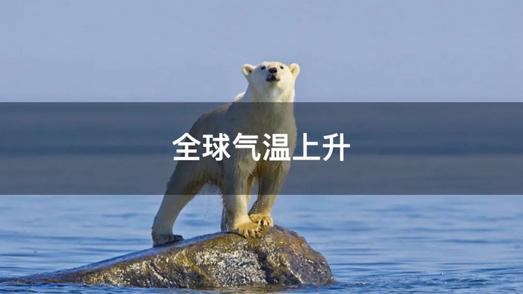 螞蟻商聯(lián)攜手金好來超市發(fā)起“以竹代木，翠我山河”植樹節(jié)活動，從改變生活習慣開始！喊你為公益接力~